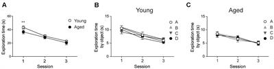 Aging Impairs Hippocampal- Dependent Recognition Memory and LTP and Prevents the Associated RyR Up-regulation